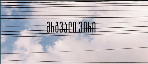 ალექს ჩიღვინაძე მრგვალი ვირი